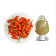 Nutrition organique goji berry lyophilisé poudre